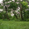 VietMinh72