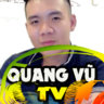 Quang Vũ TV